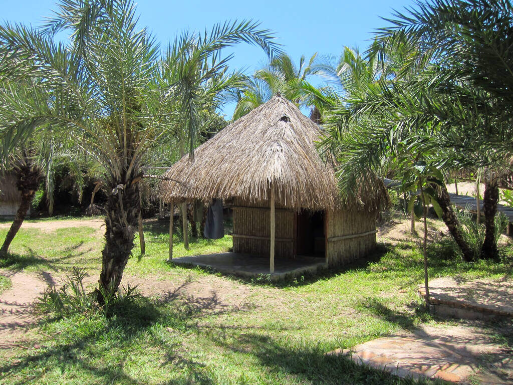Fatima's Nest